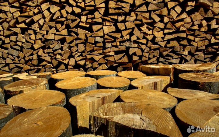 Дрова в область