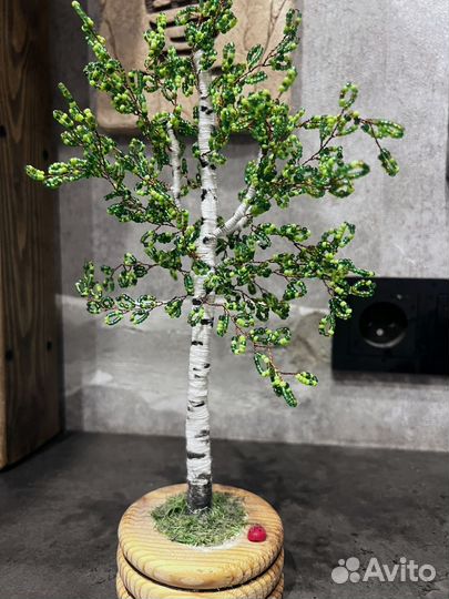 Береза хендмейд