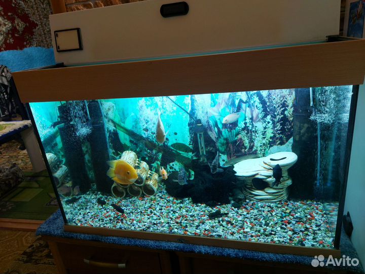 Аквариум