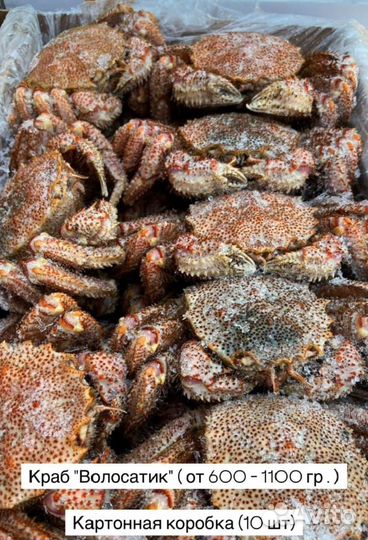 Морепродукты оптом. Камчатский краб