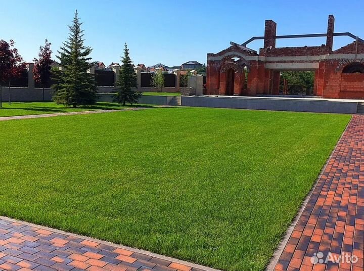 Рулонный газон под ключ