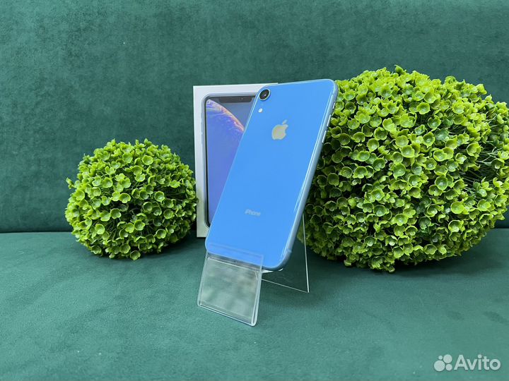 iPhone Xr, 128 ГБ