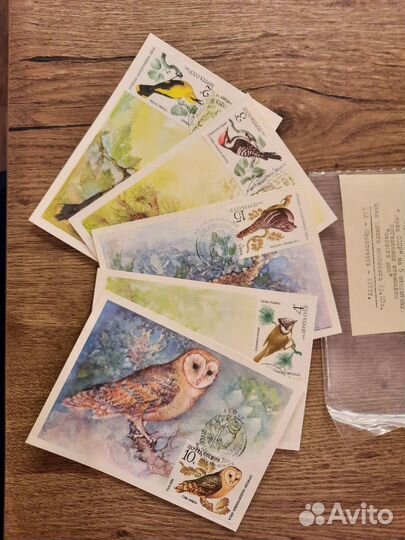 Картмаксимумы коллекция 5шт 