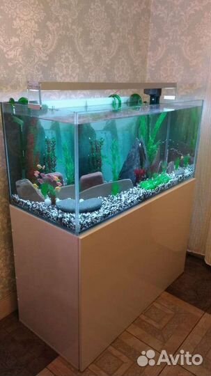 Установка и оформление,аквариумов и их систем