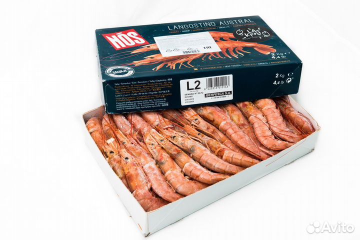 Лангустины l2