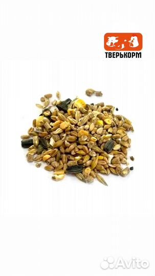Зерносмесь для кур