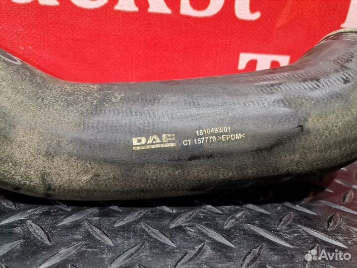 Патрубок радиатора Daf XF106