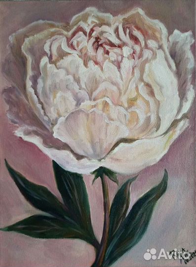 Пион. Картина маслом на холсте
