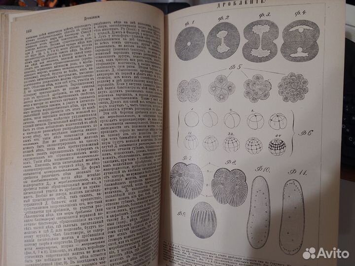 Брокгауз и Ефрон энциклопедический словарь 1893г