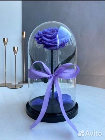 Роза в колбе гортензия цветы