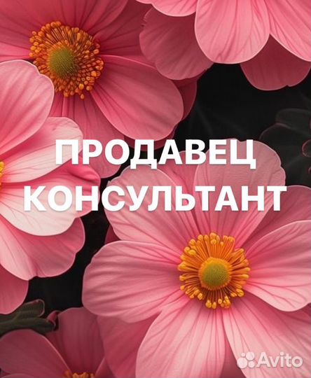 Продавец одежды в ТЦ Магнус