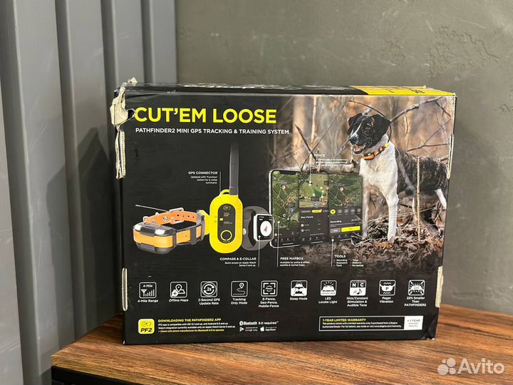 Dogtra Pathfinder 2 mini