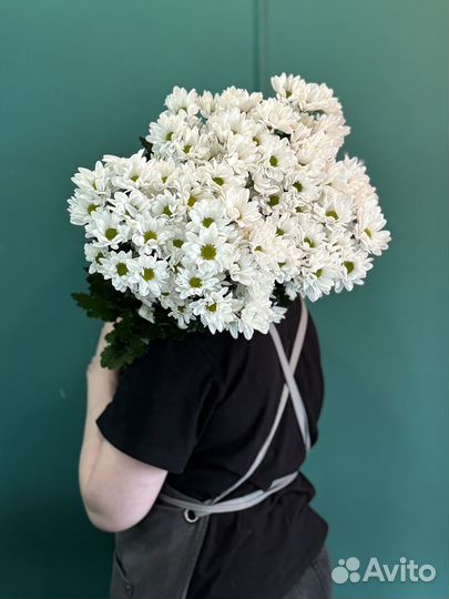 Букет из 15 белых кустовых хризантем