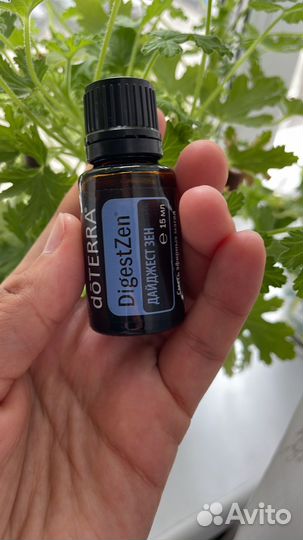 Дайджест дзен эфирное масло дотерра