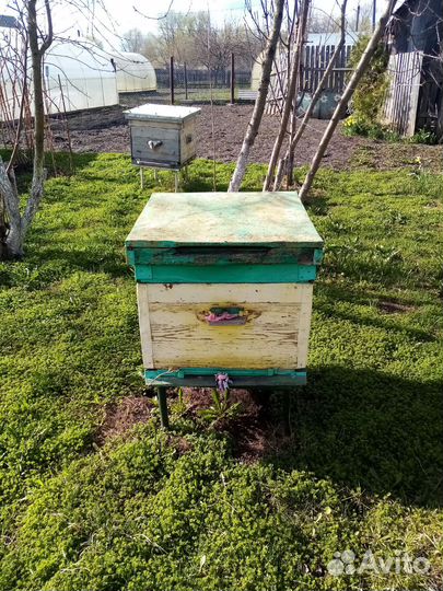 Улий для пчел