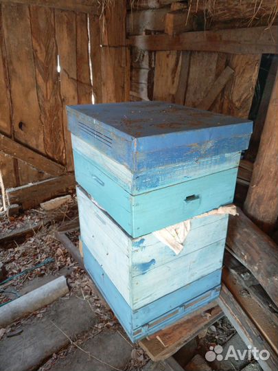 Ульи для пчел