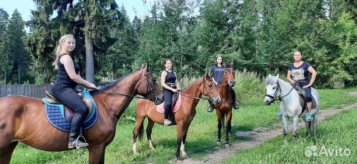 Конные прогулки