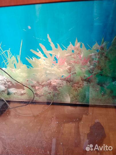 Аквариум с тумбой на 150 л. круглый (полусфера)