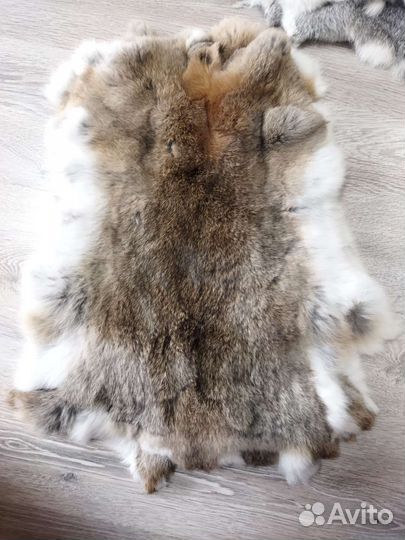 Шкура кролика