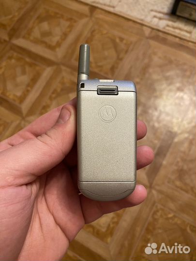 Motorola V50