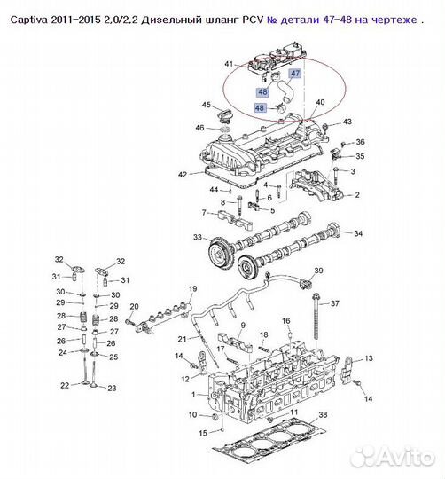 Шланг вентил. картера 25183222 GM Captiva C140 2,2