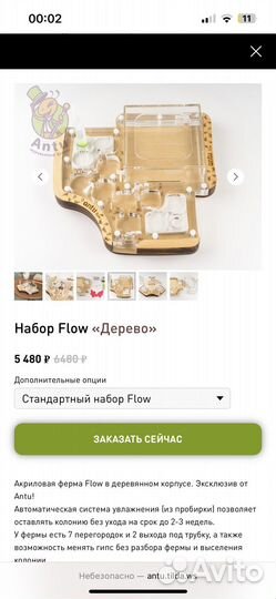 Муравьиная ферма