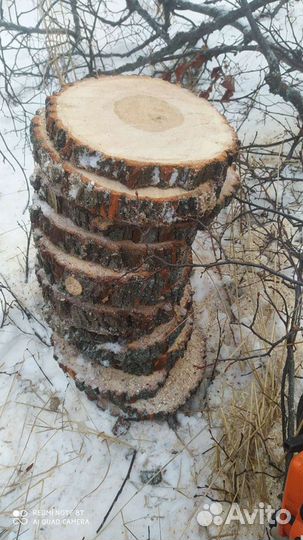 Продам спилы