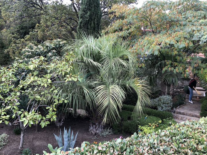 Дом 500 м² на участке 20 сот.