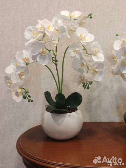 Орхидеи из полимерной глины