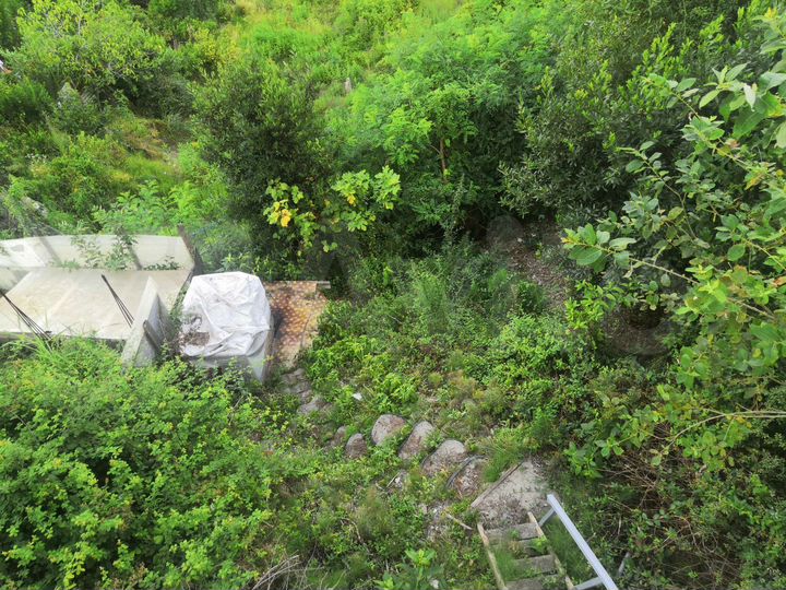 Участок 3 сот. (ИЖС)