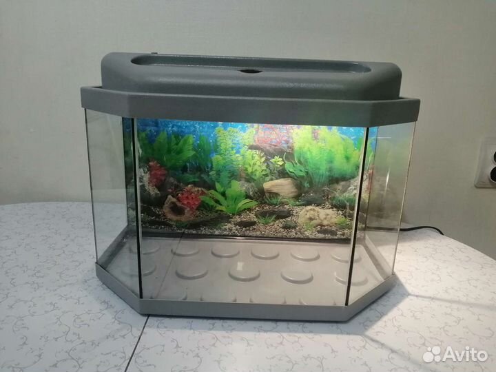 Аквариум 30 литров с подсветкой