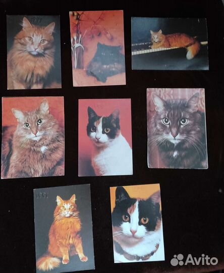 Календари карманные