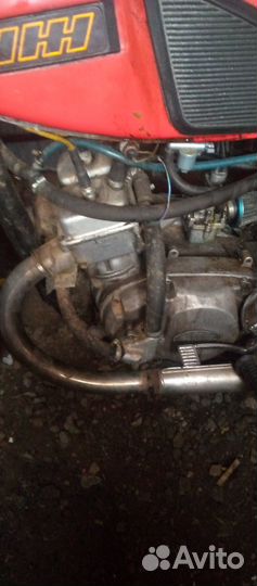 Продам кишкотряс