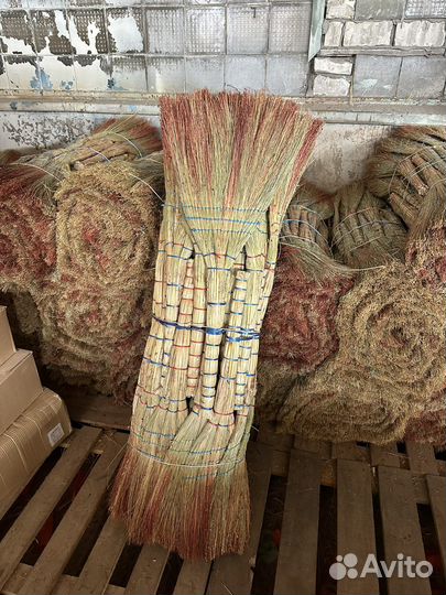 Веник сорго