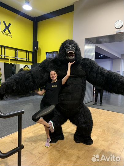 Горилла, зайцы, мишка, чебурашка