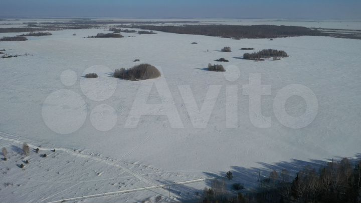 Участок 81,19 га (промназначения)