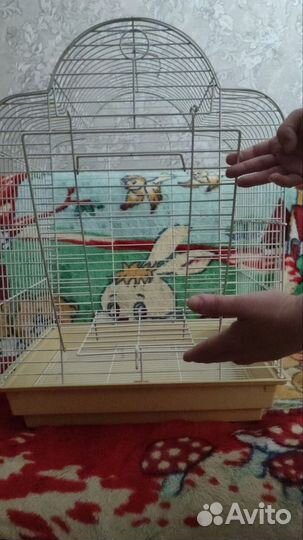 Клетка для попугая корелла