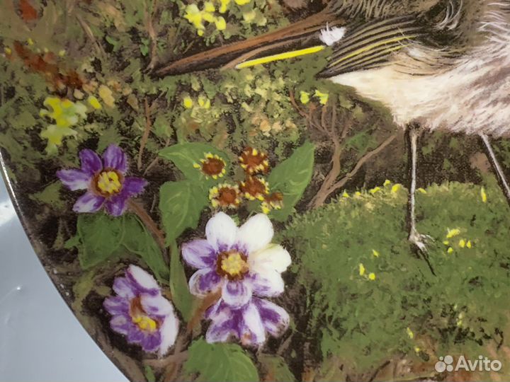 Немецкая Настенная Тарелка. Птицы. Винтаж Фарфор