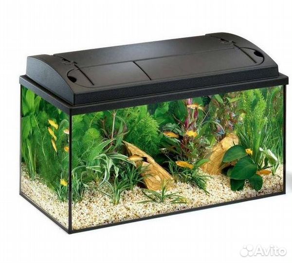 Аквариум 54 литра