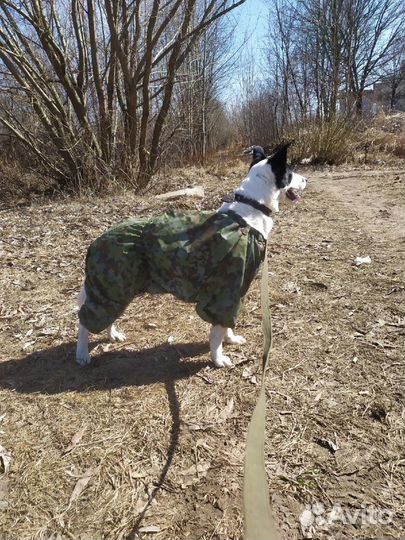 Комбинезон, теплый, для большой собачки