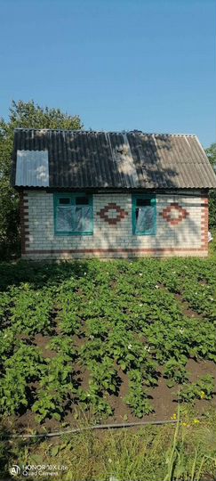 Дача 20 м² на участке 7 сот.