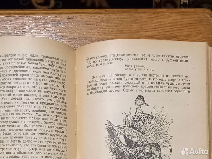 Записки ружейного охотника