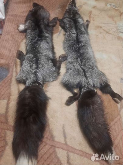 Меховая шкура