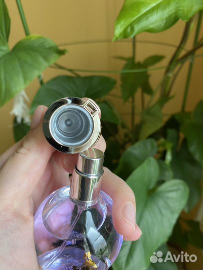 Lanvin eclat d arpege парфюмерная вода