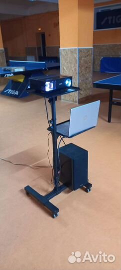 Аренда проектора и экрана,телевизора