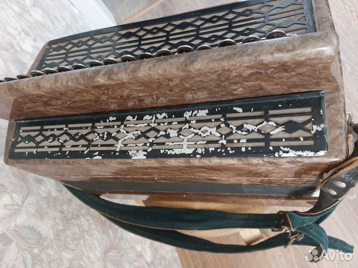 Баян Тула 202