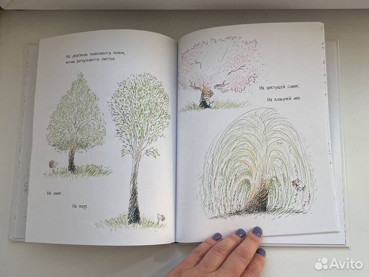 Детские книги поляндрия. Мой друг Бетольт