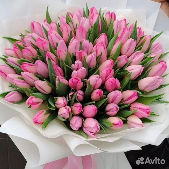 Букет из 101 розового тюльпана