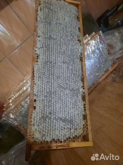 Мёд алтайский настоящий, в сотах и в банках