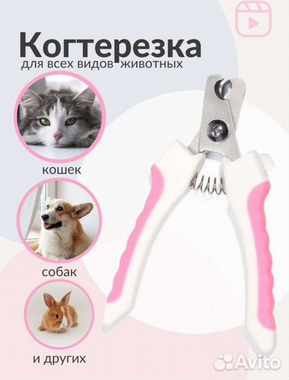 Товары для котов